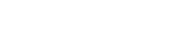 Flex Text Business SMS Platform