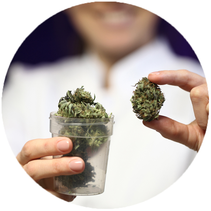 dispensary-promos SMS for Dispensary